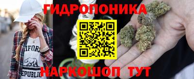 мяу мяу мука Краснознаменск