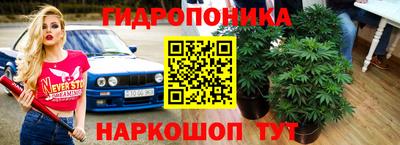 мяу мяу мука Краснознаменск