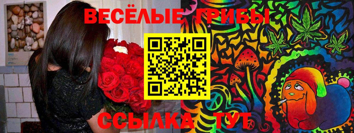 Галлюциногенные грибы GOLDEN TEACHER  цены наркотик  Кандалакша  Вход с VPN 