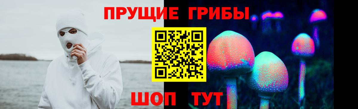 Галлюциногенные грибы мицелий Кандалакша